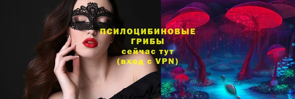 герыч Алексин